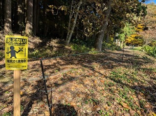 PXL_20251106_041544564