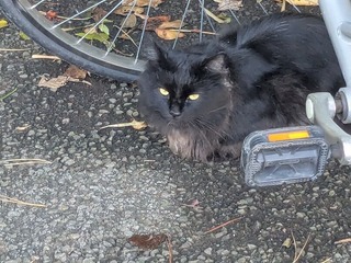 PXL_20251102_235250603