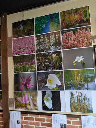 PXL_20250722_050858833.MP