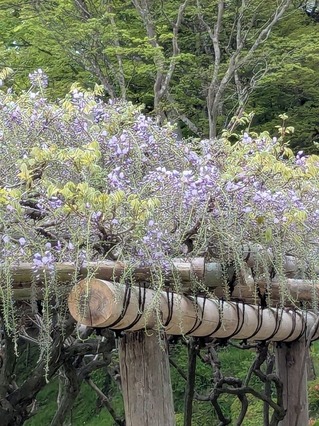 PXL_20250428_011422902