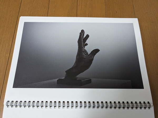 PXL_20240423_212544559