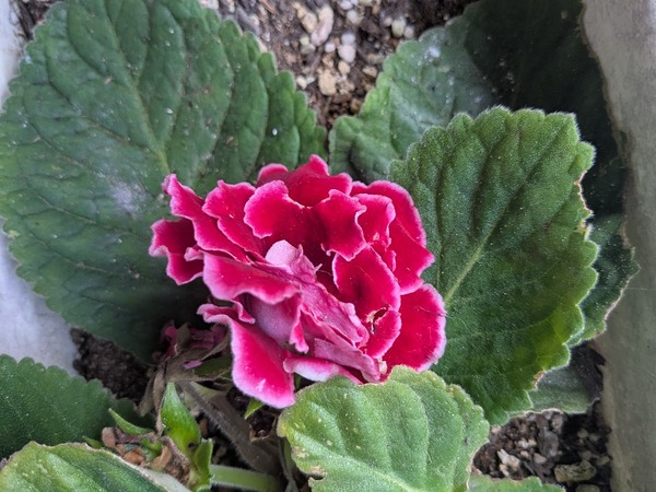 PXL_20251029_225209891