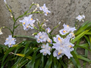 PXL_20260417_214149825