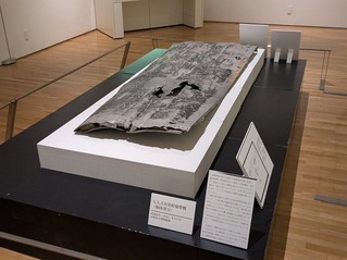 PXL_20250722_034454602