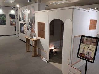 PXL_20250620_233207784