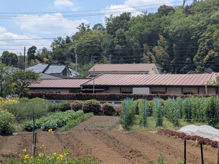 PXL_20260426_021959239