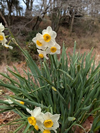 PXL_20250312_015233569