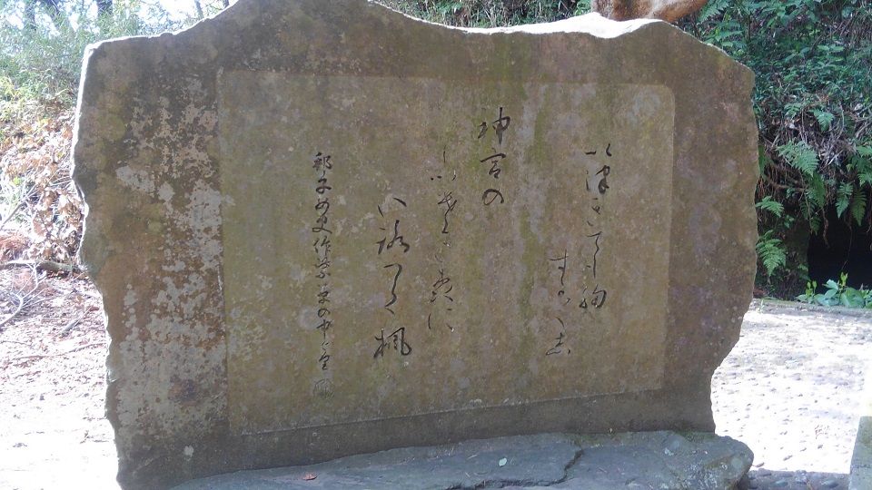 イメージ 9