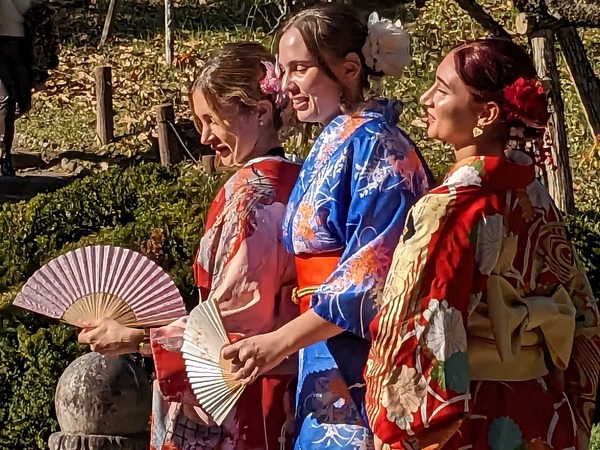 PXL_20231130_041942659.MP