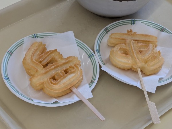 PXL_20250426_030626896