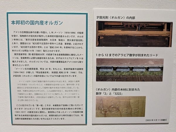 PXL_20251114_022918036