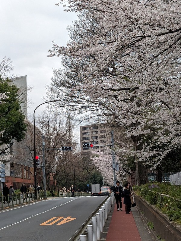 PXL_20240406_025553893.MP