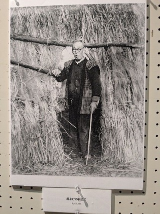 PXL_20251216_003201874