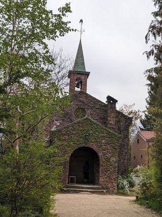 PXL_20240421_070000501