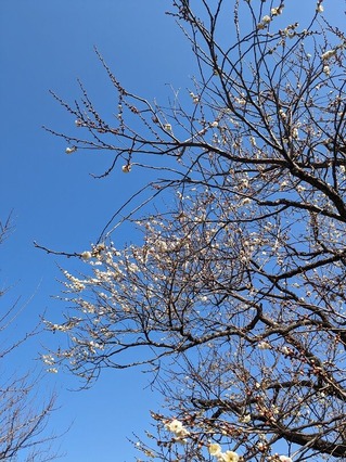 PXL_20230212_014204801