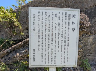 PXL_20250815_020515924