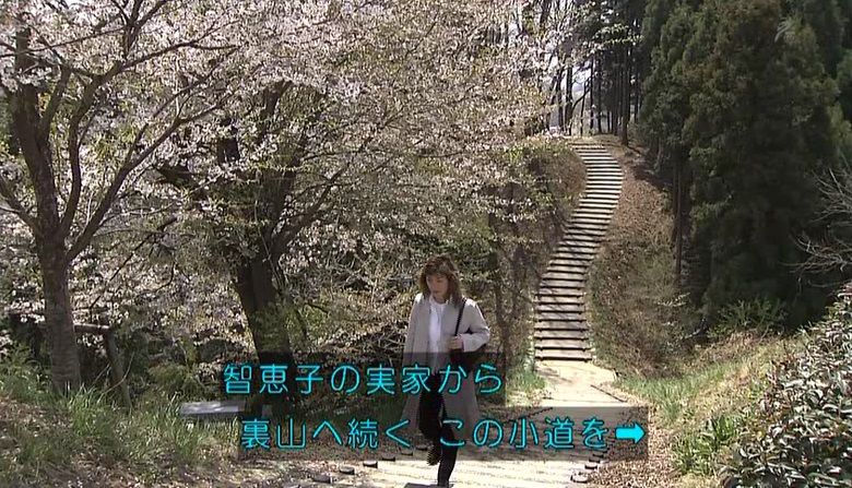 イメージ 11