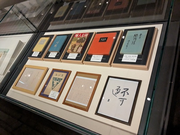 PXL_20250620_070135735.MP