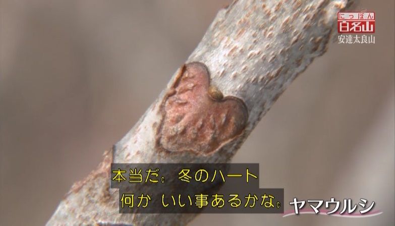 イメージ 10