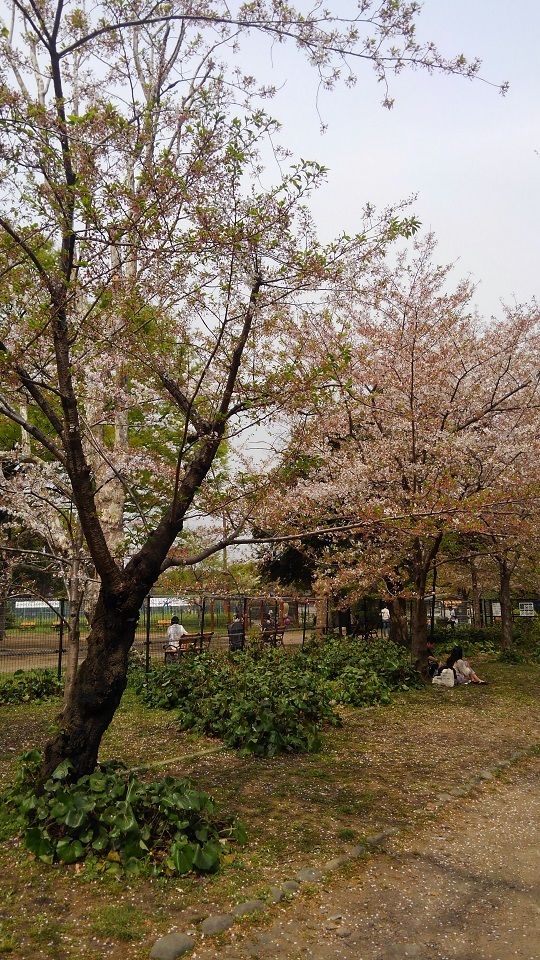 イメージ 8