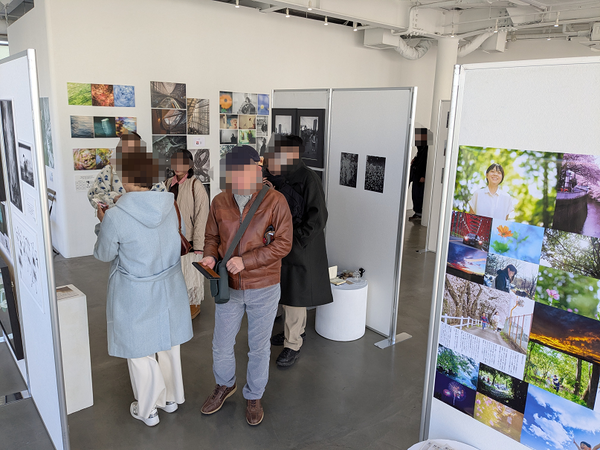 mosaic_20260125172533