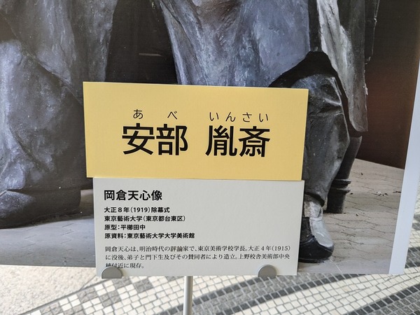 PXL_20241123_013559761