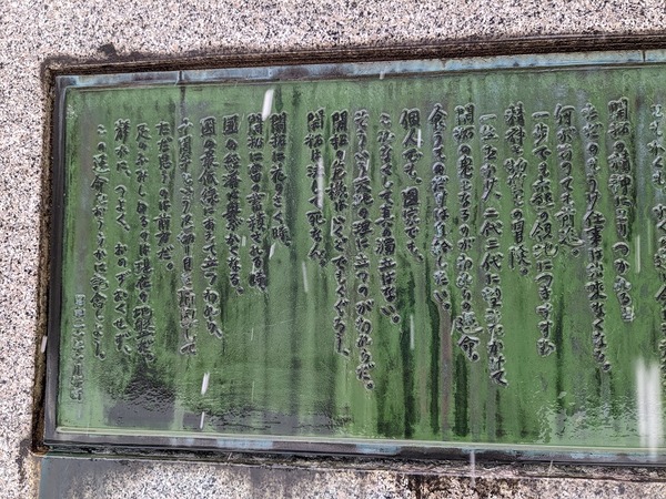 PXL_20221203_232641609.MP