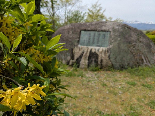 PXL_20250428_022951114