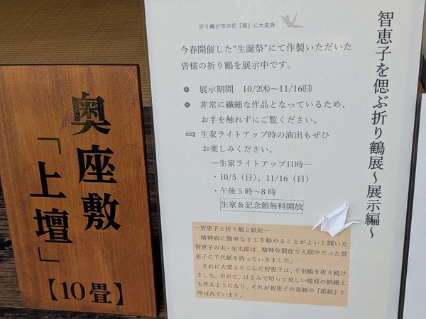 PXL_20251107_031158317