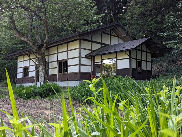 PXL_20240608_070918245