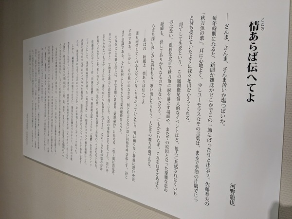 PXL_20261010_040118823