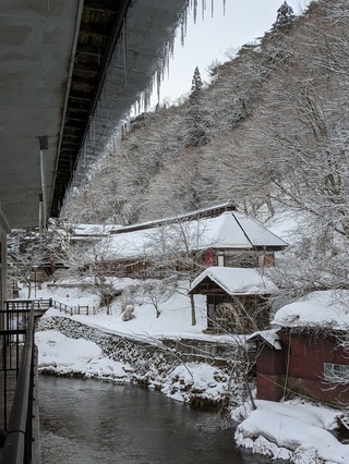 PXL_20230214_213130314