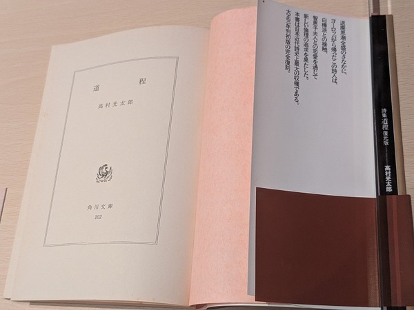 PXL_20260207_132859744