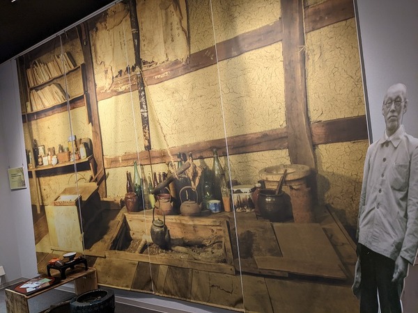 PXL_20221203_041851113