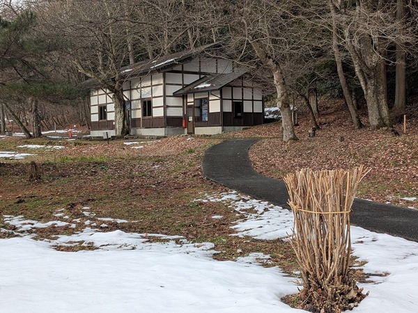 PXL_20251215_234829413