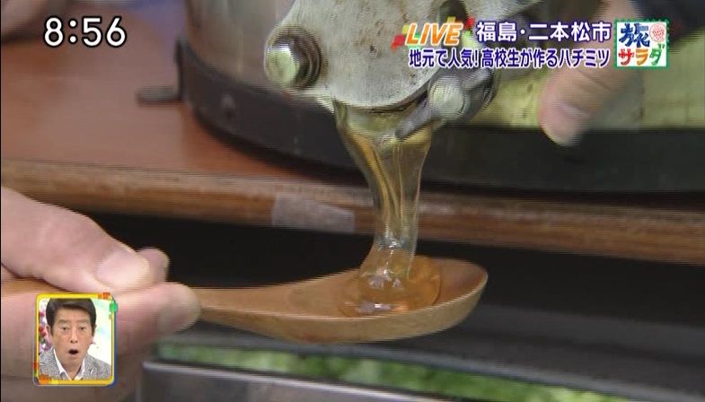 イメージ 7