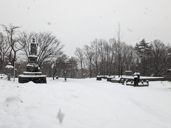 PXL_20221203_232459385