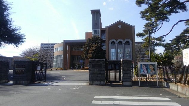 イメージ 7