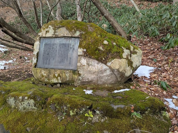 PXL_20251215_235241629