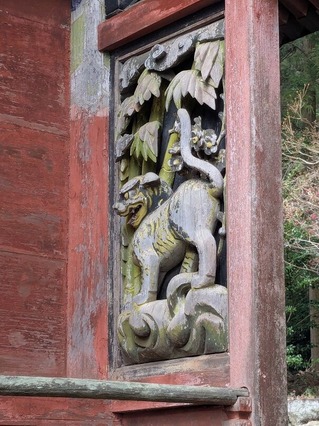 PXL_20250312_012704181