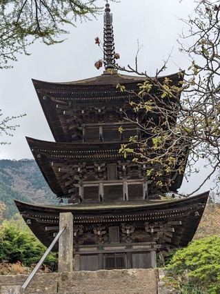 PXL_20240422_010408179