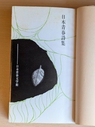 PXL_20260710_010137832