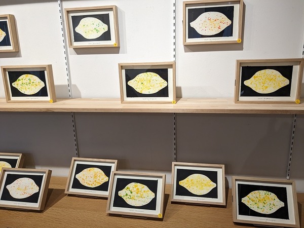 PXL_20240308_060049241