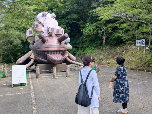 PXL_20250723_235053507.MP