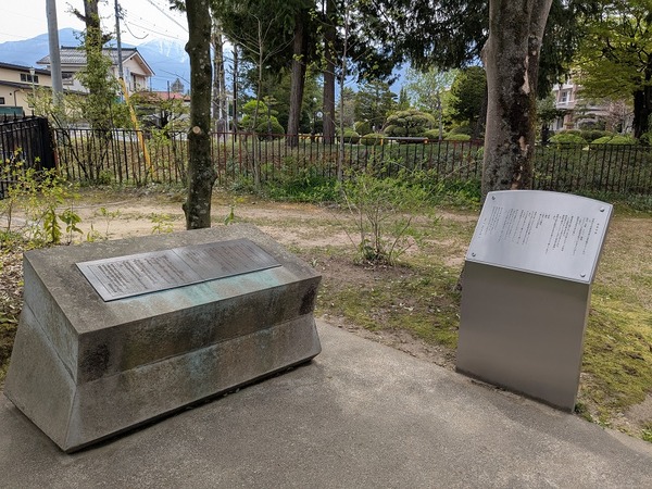 PXL_20250422_045941843