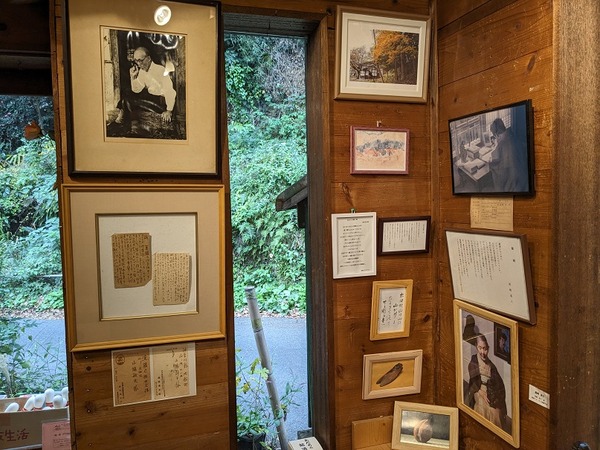 PXL_20231111_051240823