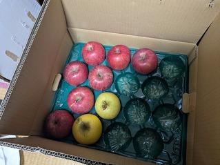 PXL_20251217_221900969