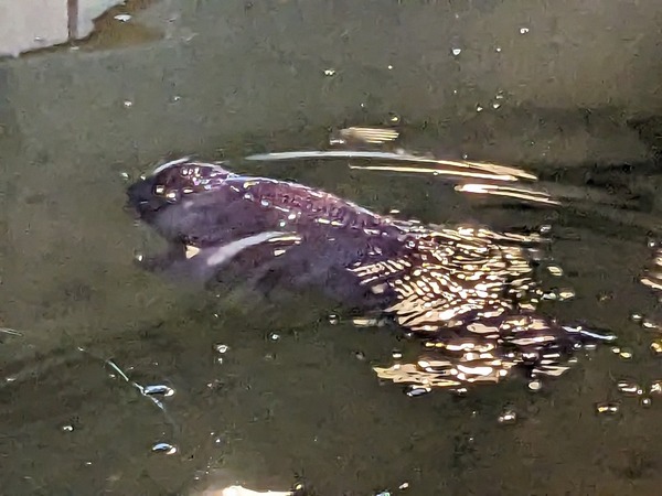 PXL_20231114_030942459