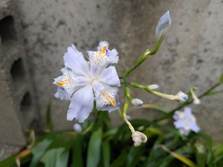 PXL_20260417_214208465