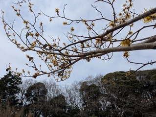 PXL_20250312_015059051